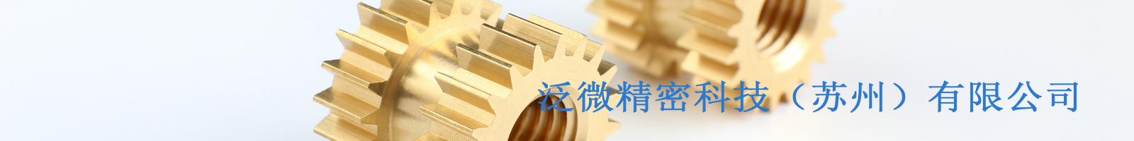 泛微精密科技（苏州）有限公司
